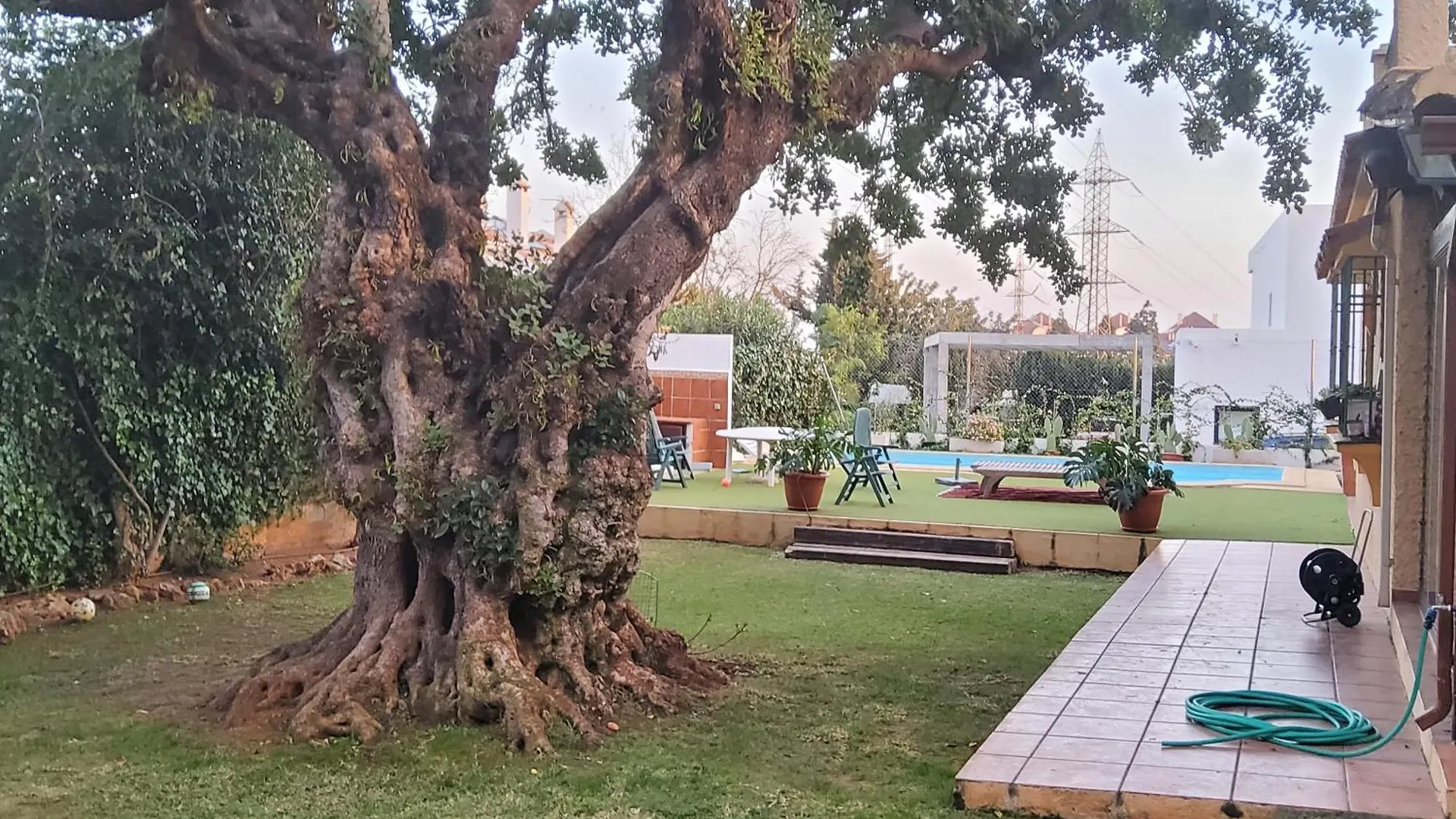 The Enchanted Fairy Forest Marbella