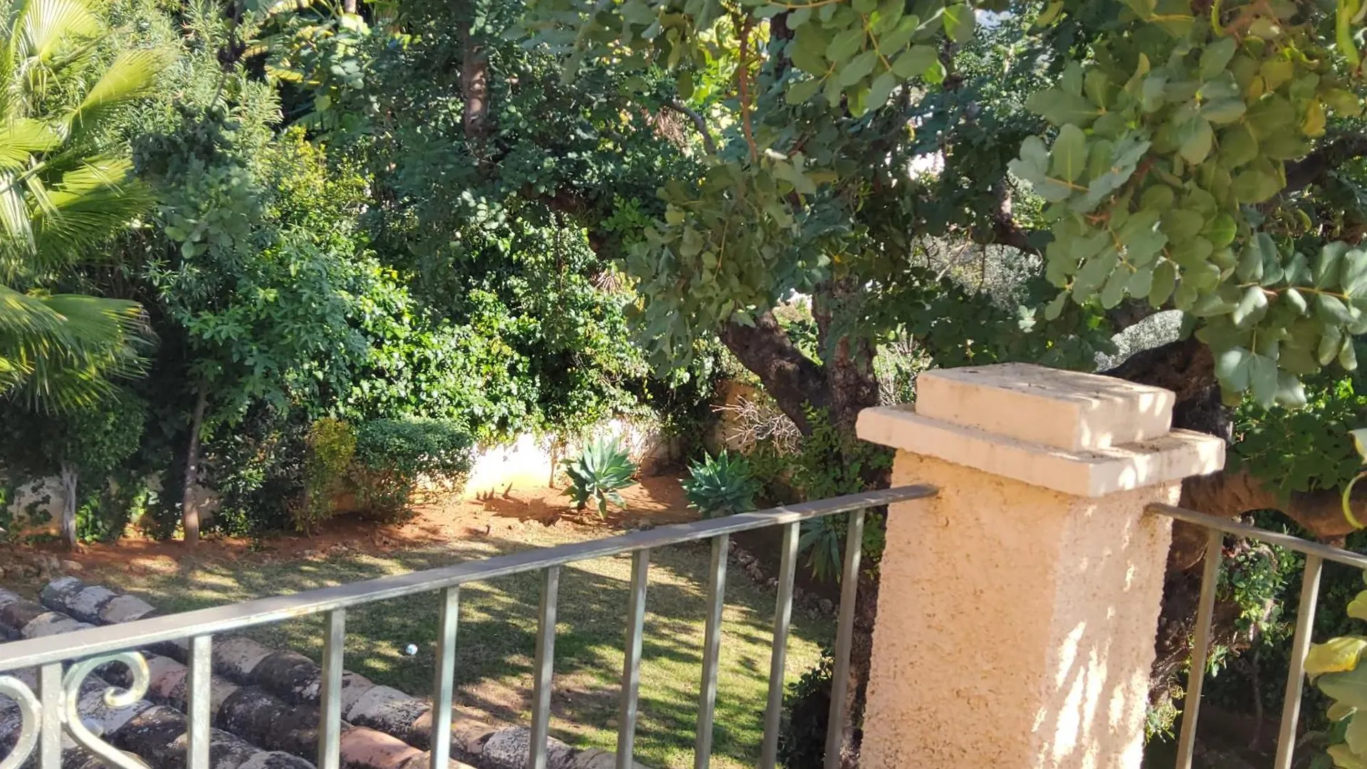 The Enchanted Fairy Forest Marbella Villa